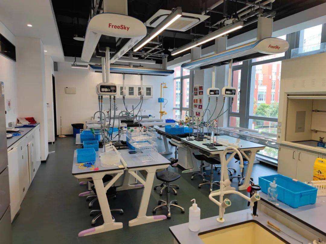 家電與通信設(shè)備進口報關(guān)流程與代理服務(wù)詳解